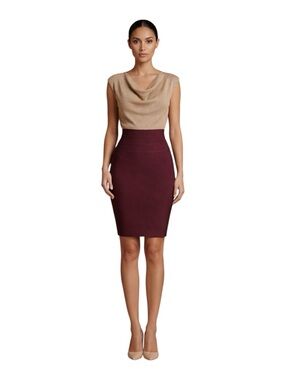 Haute Monde Burgundy High-Waist Pencil Skirt